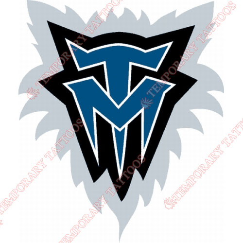 Minnesota Timberwolves Customize Temporary Tattoos Stickers NO.1096